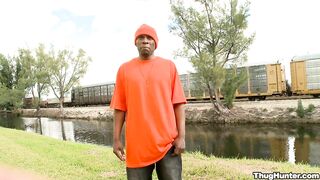 Orange you glad you got Tricked out