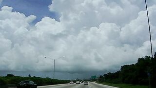 The Lucky Way Of The Cock