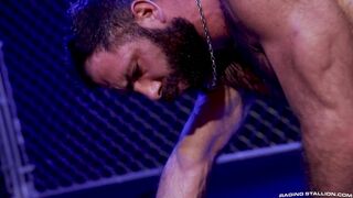 Raging Stallion - Cock Hunter