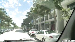 Bite the Seatbelt!