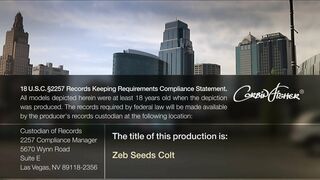 Zeb Seeds Colt